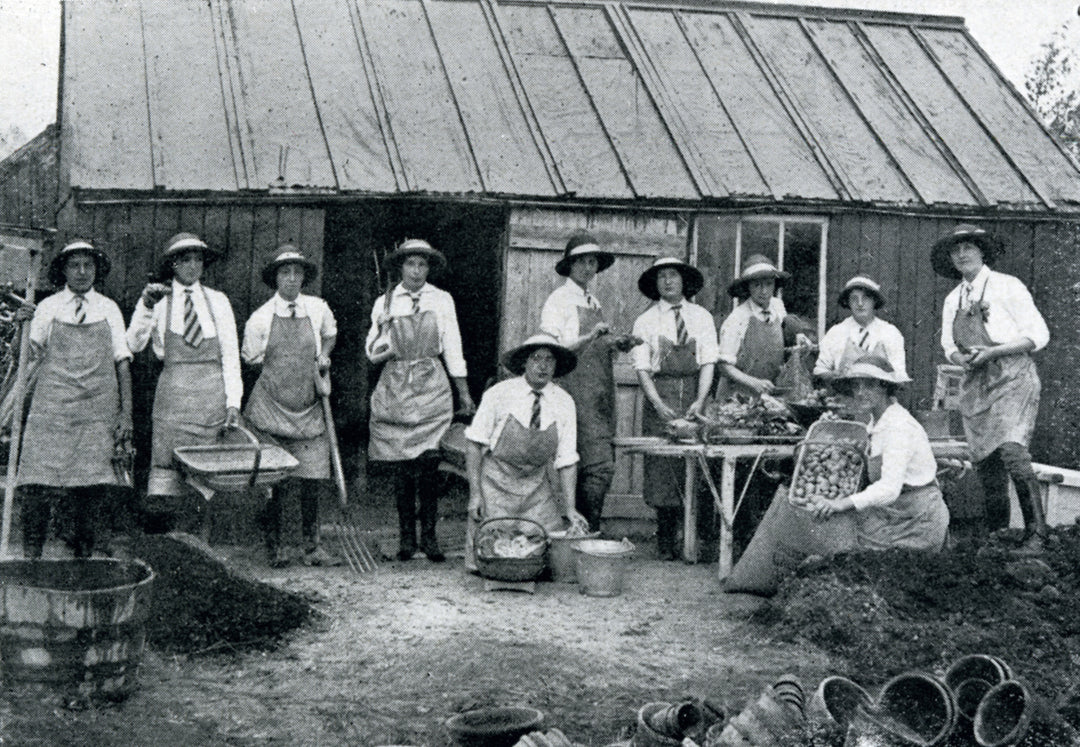 Brilliant harvest managers: The WI centenary