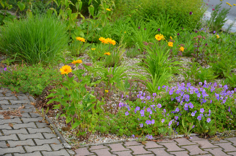 Garden trends - all about soil