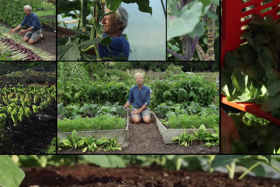 Our vlog pick - Charles Dowding, no dig gardening