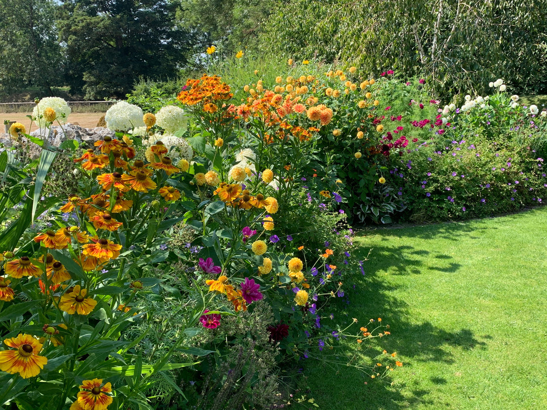 Summer gardening is here!