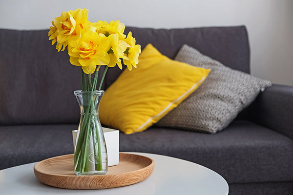 Cut flower corner - early spring bounty