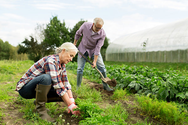 Forget yoga, try gardening this winter