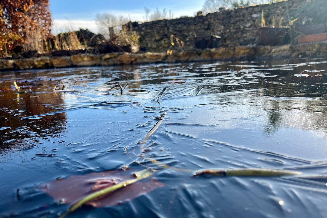 Frozen ponds