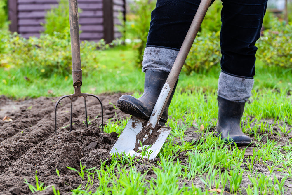 Body, soul and gardening - gardening for fitness