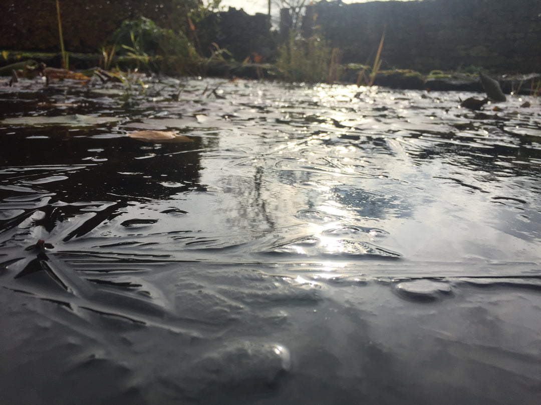 An icy pond