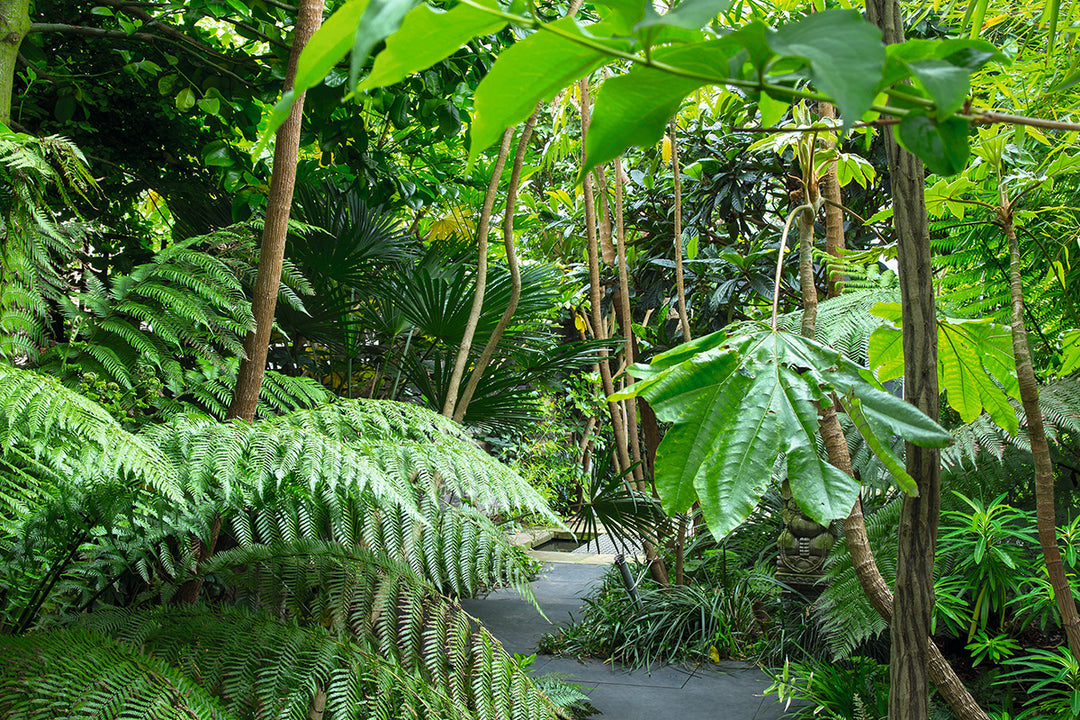 Garden trends - immersive gardens