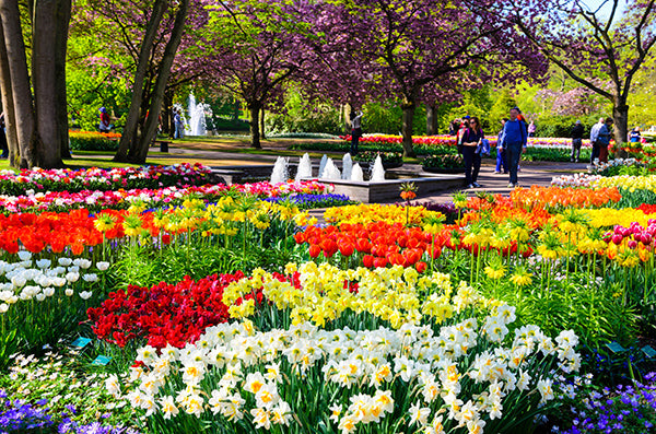 The largest flower garden in the world