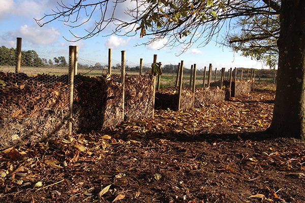 Black gold - leaf mould