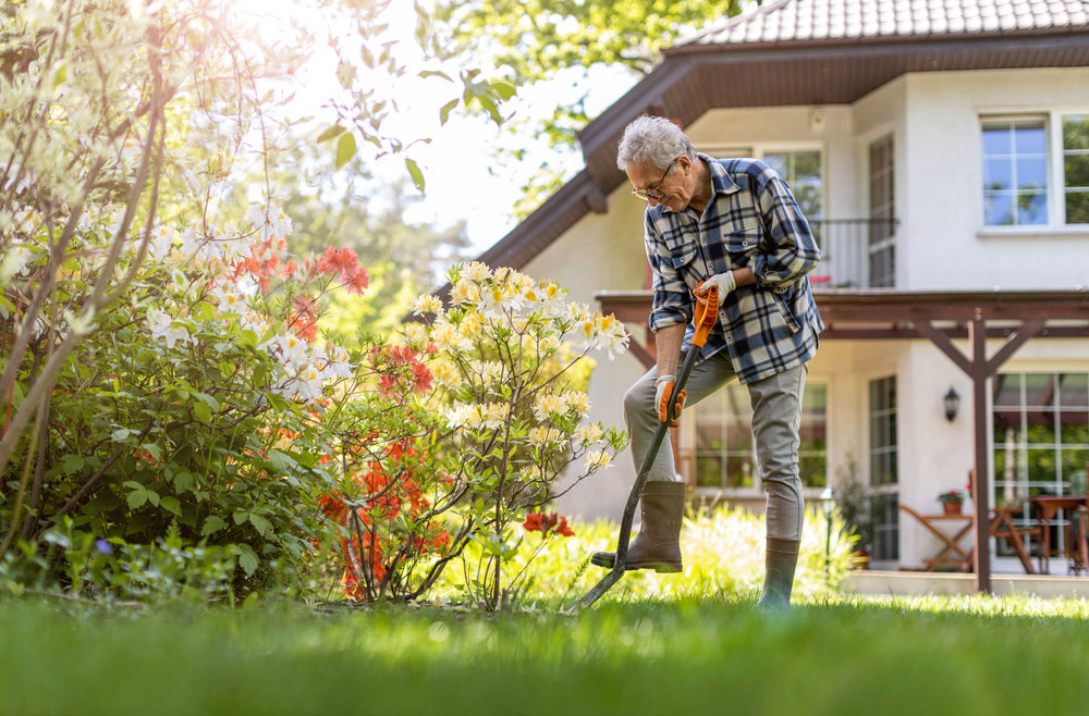 Body, soul and gardening - get a memory boost