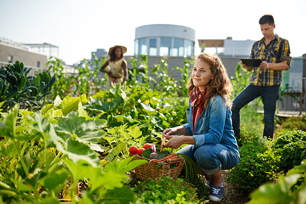 Breaking the gardening stereotypes