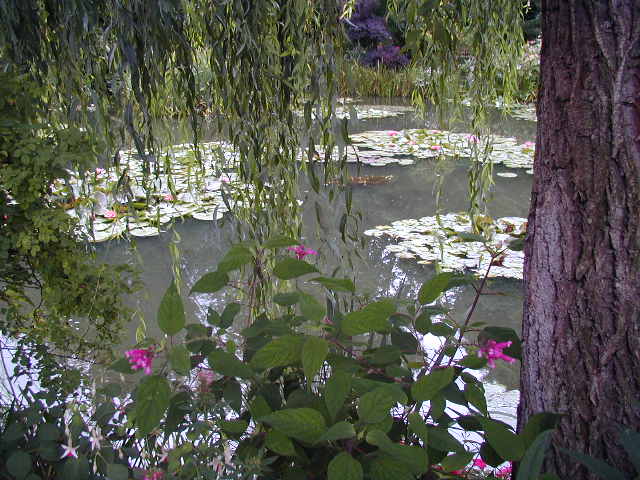 Monet's garden at Giverny