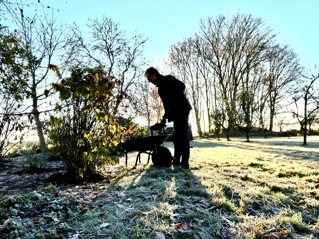 Mulching - again!