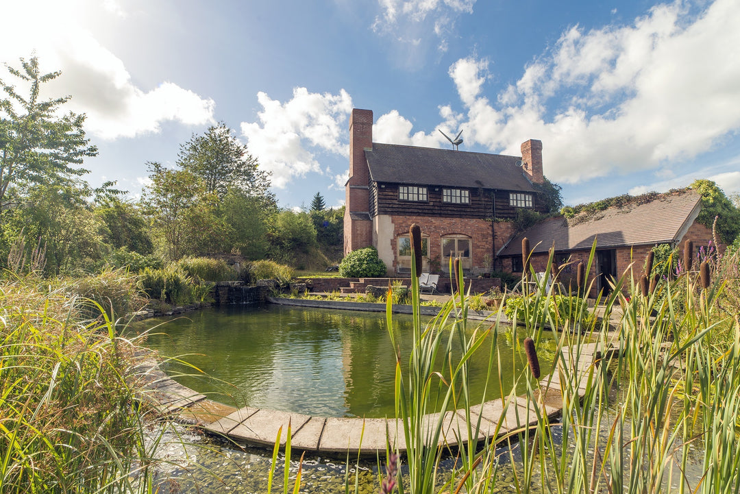 Garden trends - natural swimming ponds