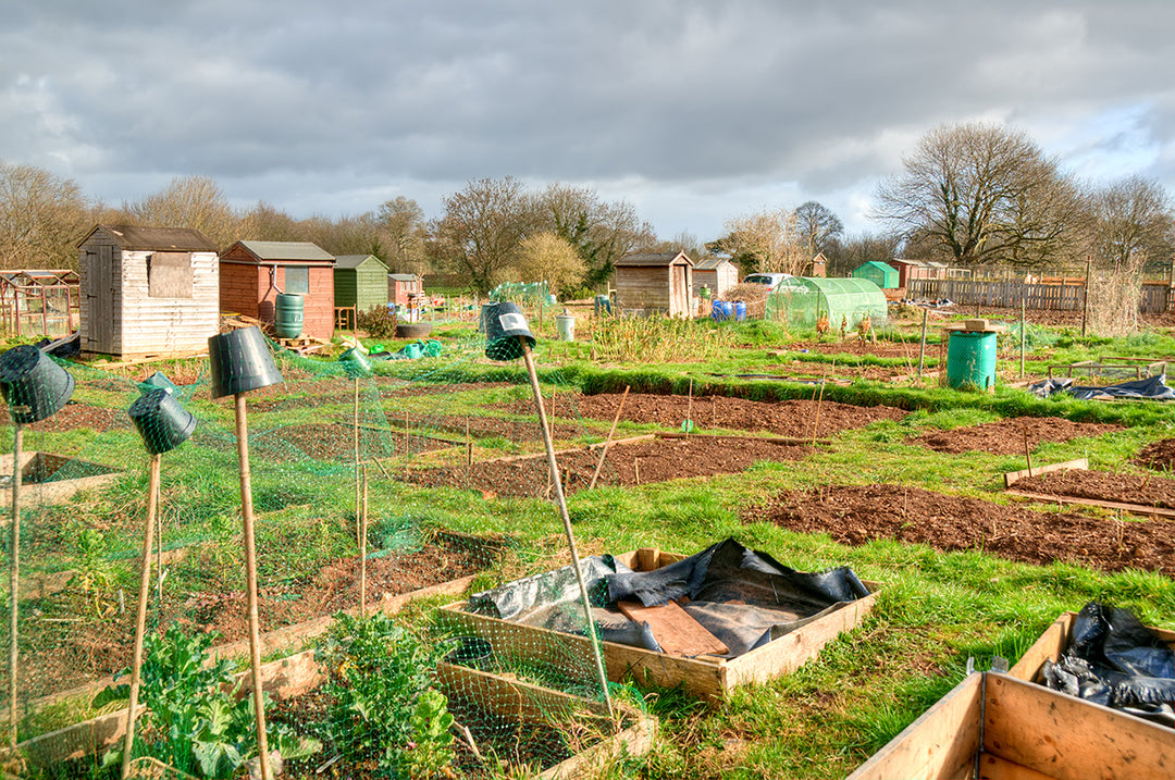 Body, soul and gardening - the no dig method