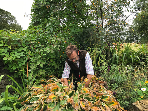 Your October gardening to-do list