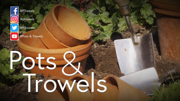 Vlog - Pots & Trowels