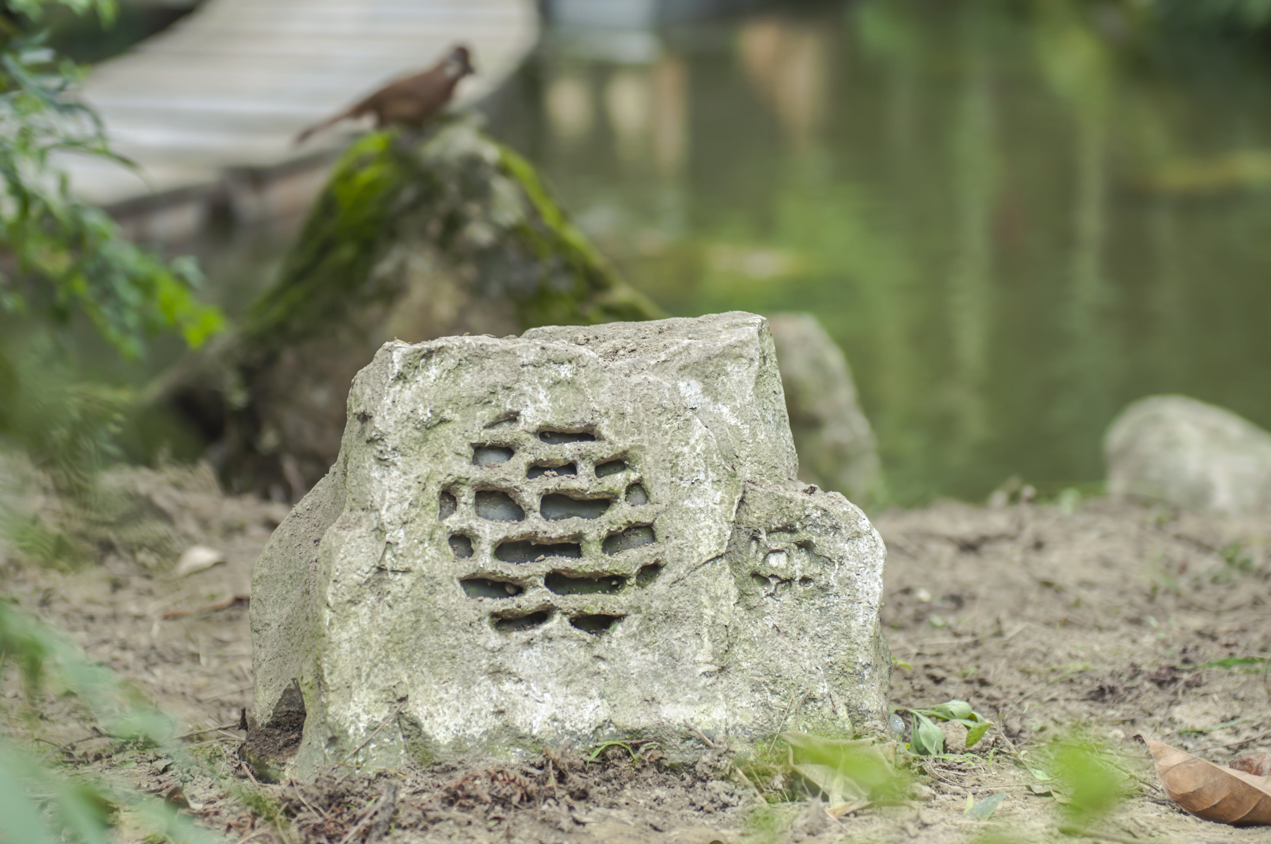 Technology in the garden - bringing on sound