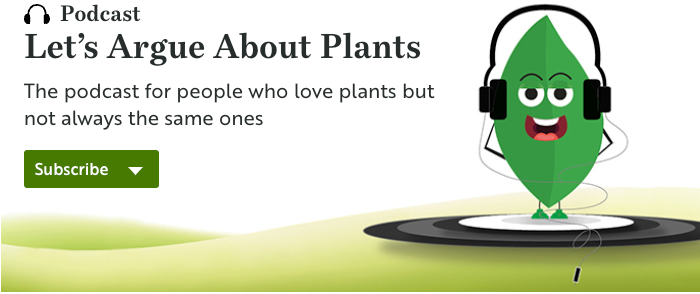 Podcast - Let's argue about plants