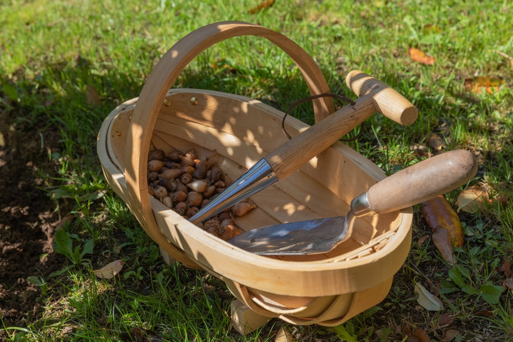 The plants around us - chestnut and willow