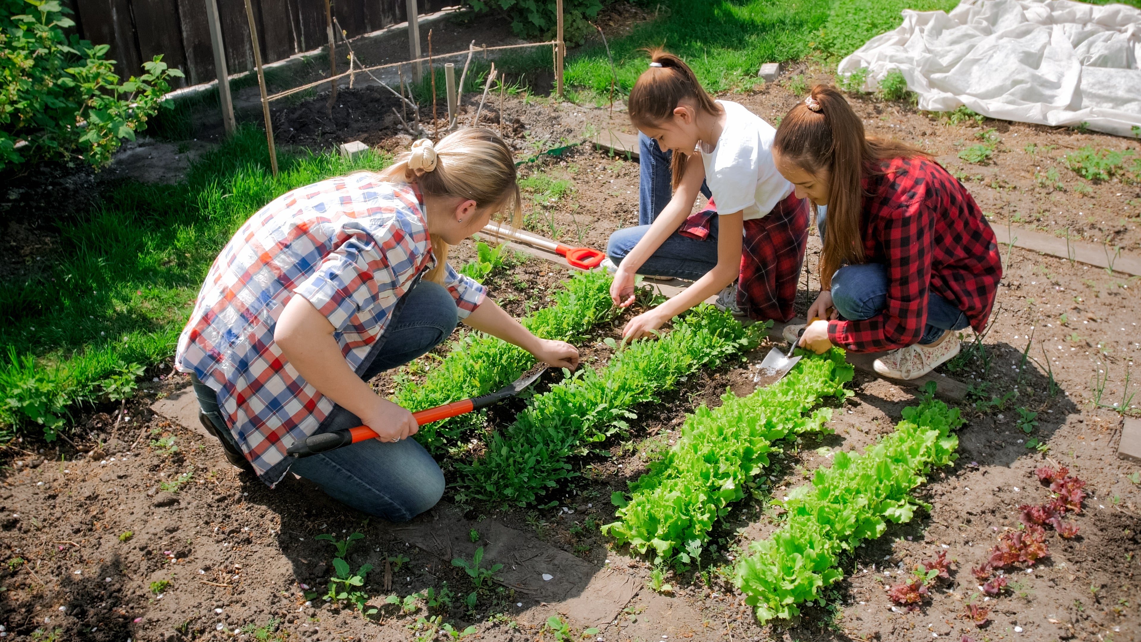 Monty Don says compulsory gardens would develop young people