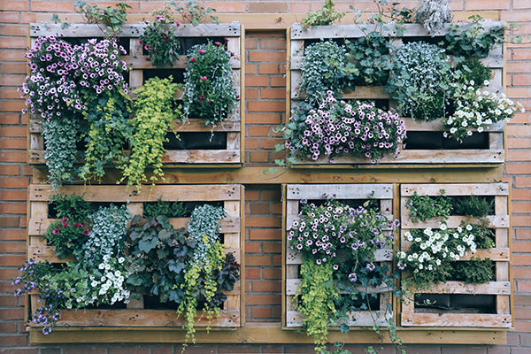 Garden trends - vertical gardening