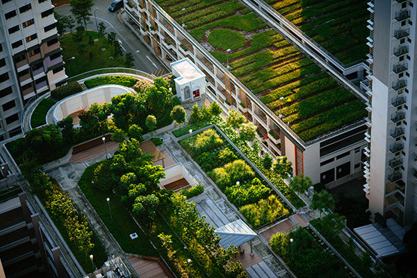 Five inspiring ideas for your roof garden